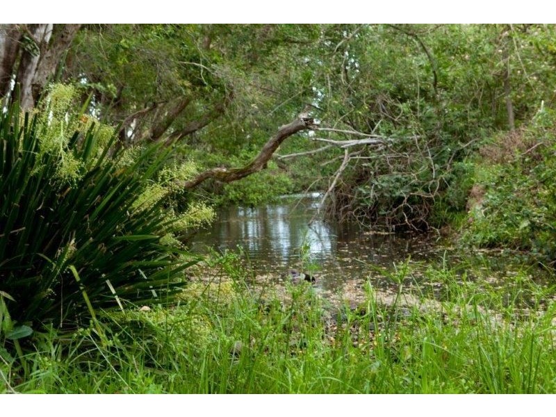 618 Half Chain Road, Koorainghat NSW 2430