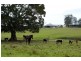 618 Half Chain Road, Koorainghat NSW 2430