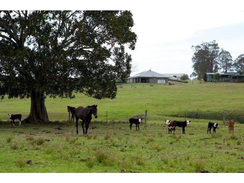618 Half Chain Road, Koorainghat NSW 2430