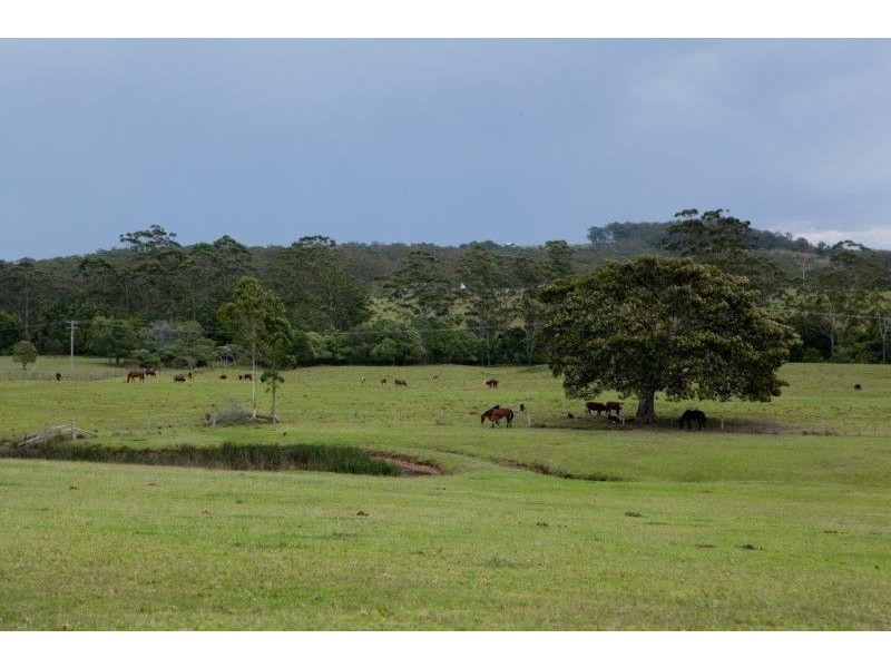 618 Half Chain Road, Koorainghat NSW 2430