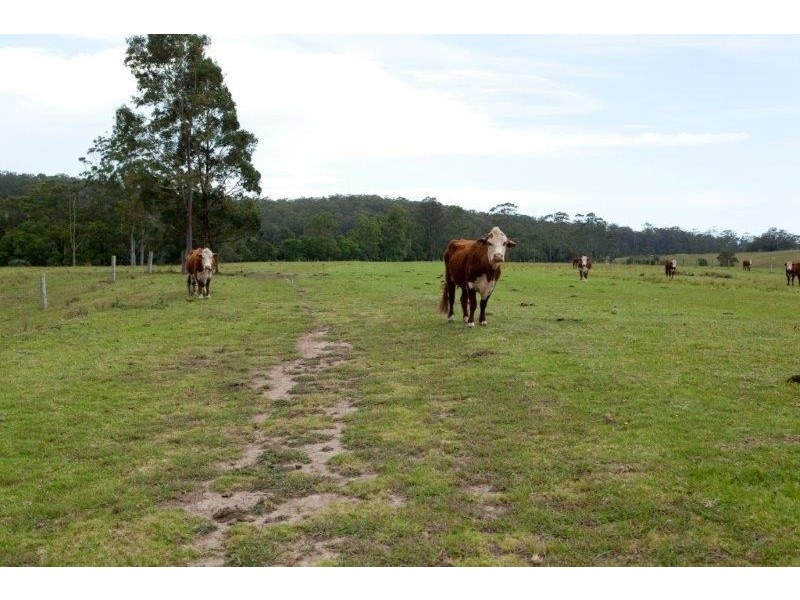 618 Half Chain Road, Koorainghat NSW 2430
