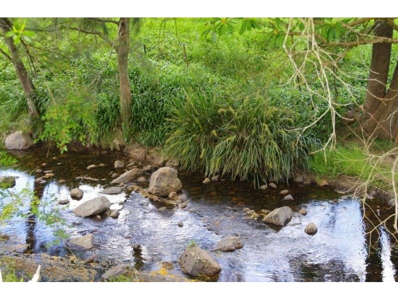 355 Caparra Road, Wingham NSW 2429