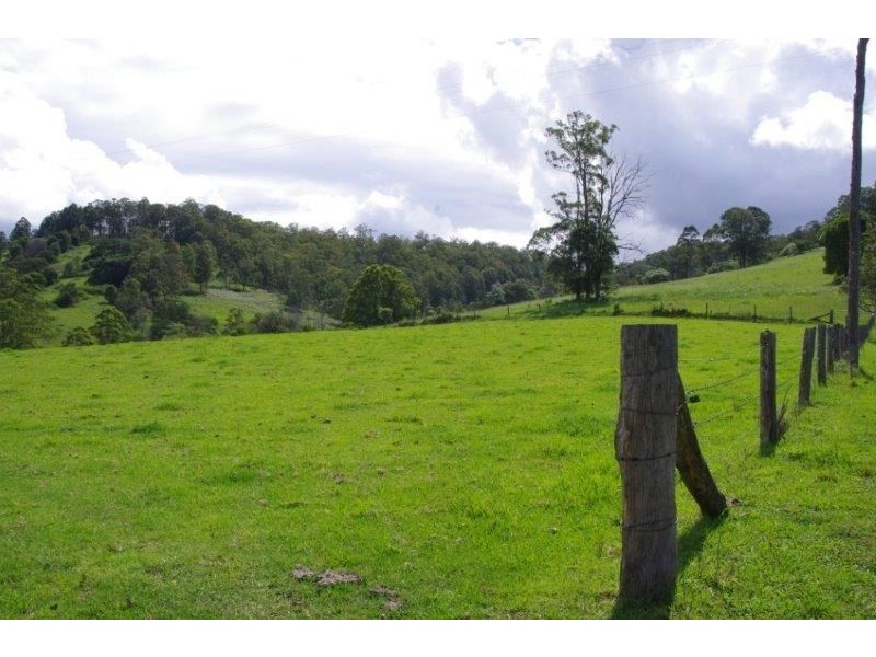 355 Caparra Road, Wingham NSW 2429