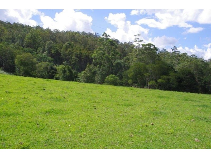 355 Caparra Road, Wingham NSW 2429