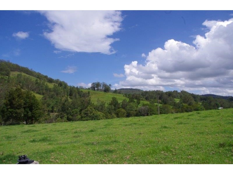 355 Caparra Road, Wingham NSW 2429