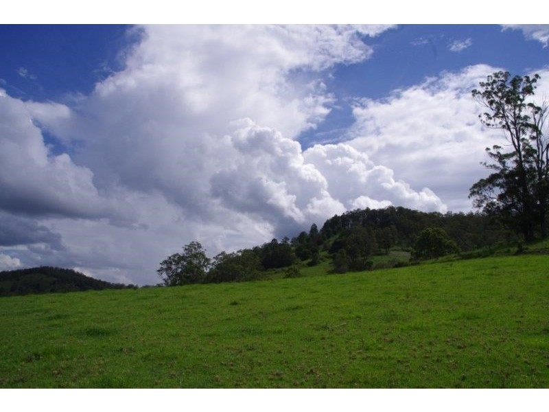 355 Caparra Road, Wingham NSW 2429