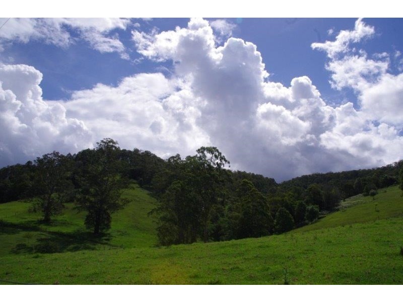 355 Caparra Road, Wingham NSW 2429