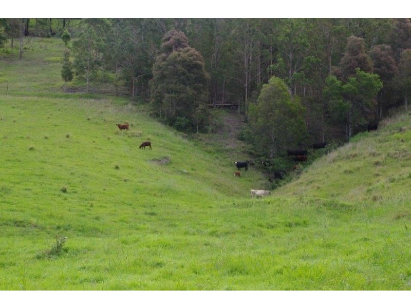 355 Caparra Road, Wingham NSW 2429