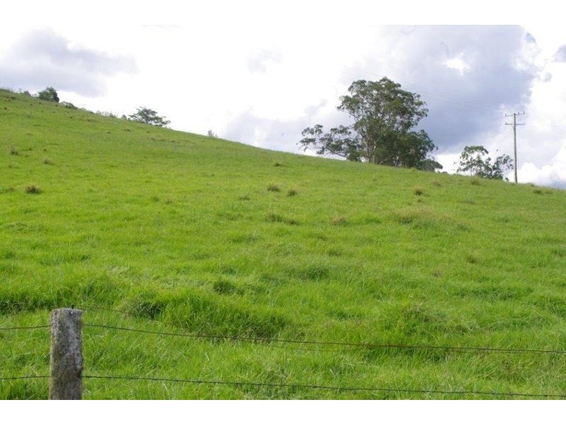 355 Caparra Road, Wingham NSW 2429