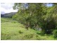 355 Caparra Road, Wingham NSW 2429