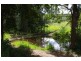 355 Caparra Road, Wingham NSW 2429