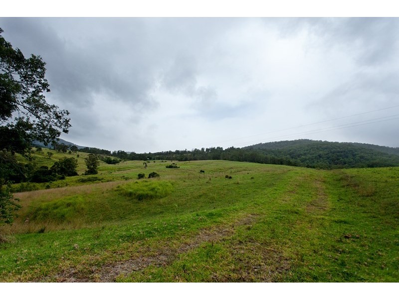 3041 Nowendoc Road, Wingham NSW 2429