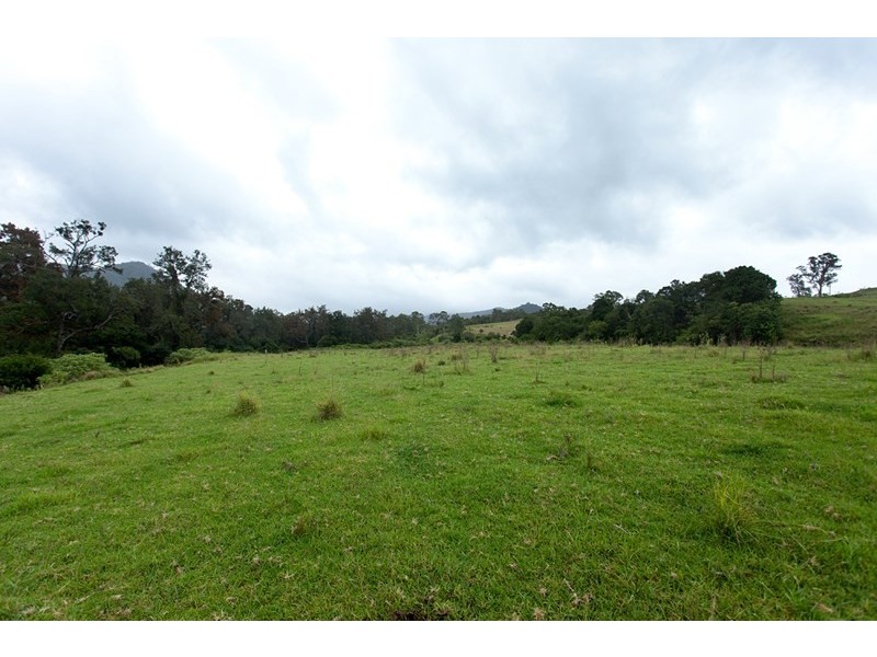3041 Nowendoc Road, Wingham NSW 2429