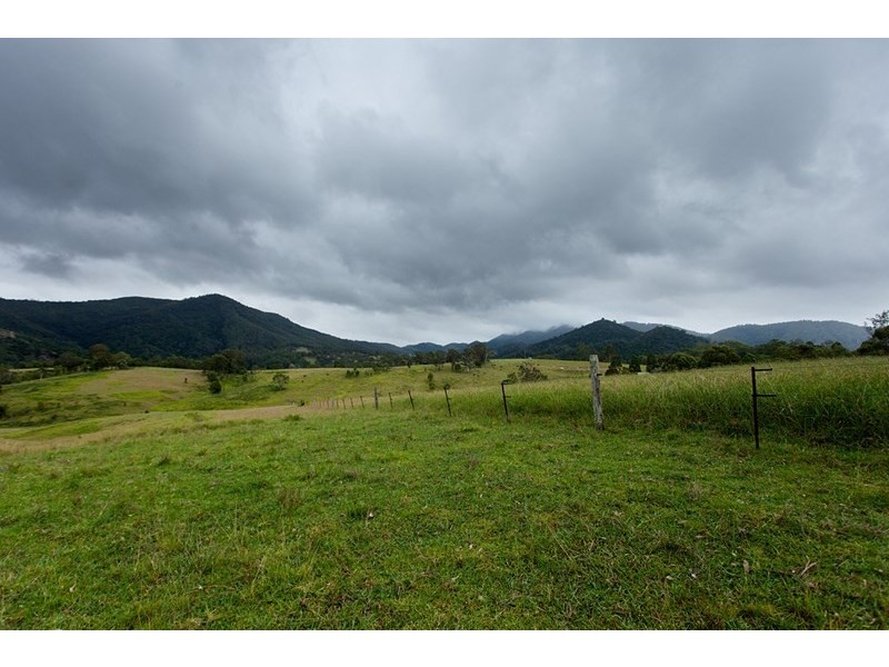 3041 Nowendoc Road, Wingham NSW 2429