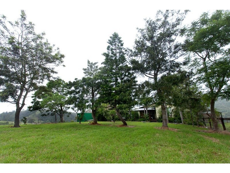 3041 Nowendoc Road, Wingham NSW 2429