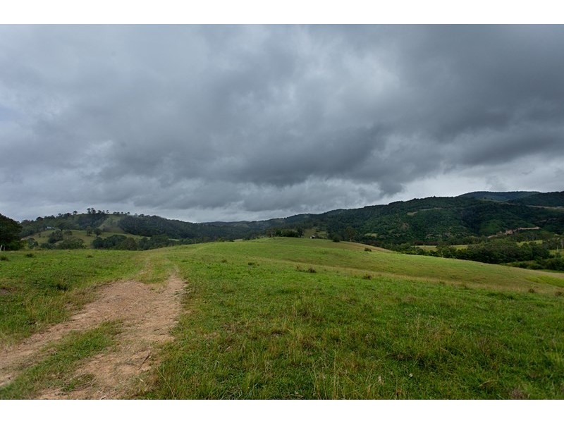 3041 Nowendoc Road, Wingham NSW 2429