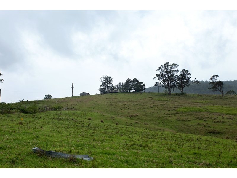 3041 Nowendoc Road, Wingham NSW 2429