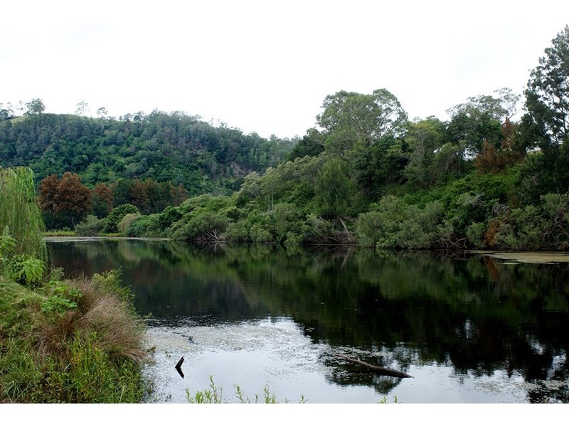 3041 Nowendoc Road, Wingham NSW 2429