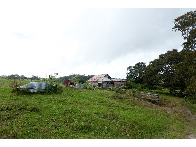 3041 Nowendoc Road, Wingham NSW 2429