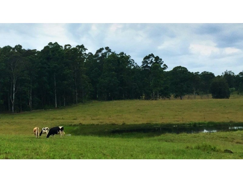 8 Hogans Road, Taree NSW 2430