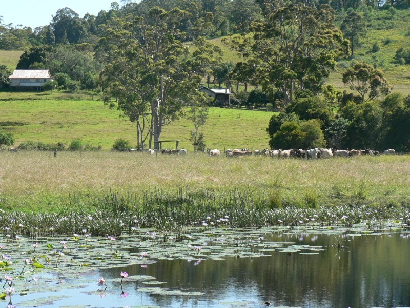 Nabiac NSW 2312