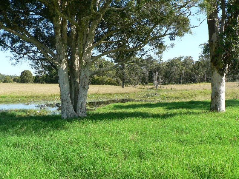 Nabiac NSW 2312