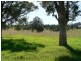 Nabiac NSW 2312
