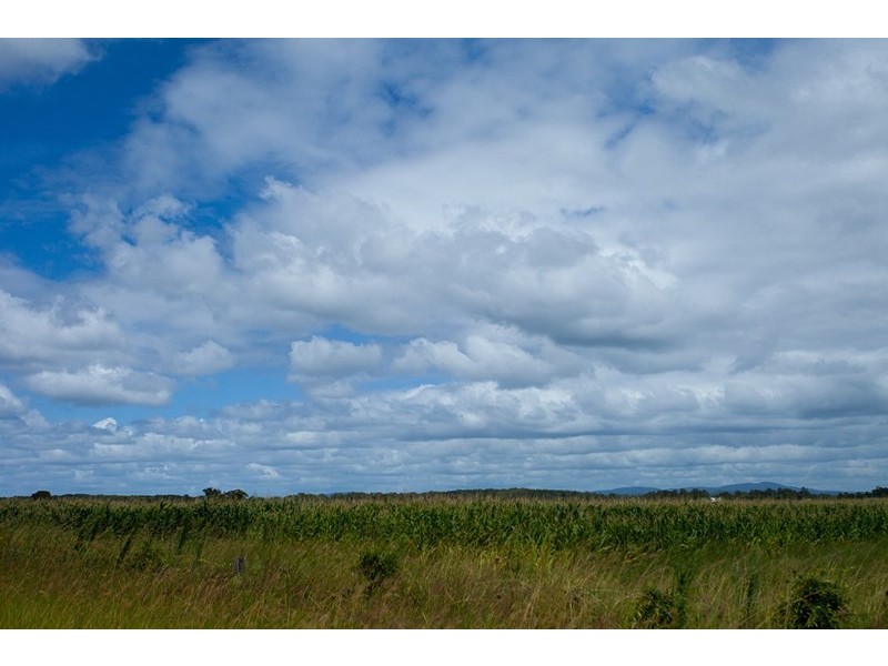 357 Manning Point Road, Oxley Island NSW 2430