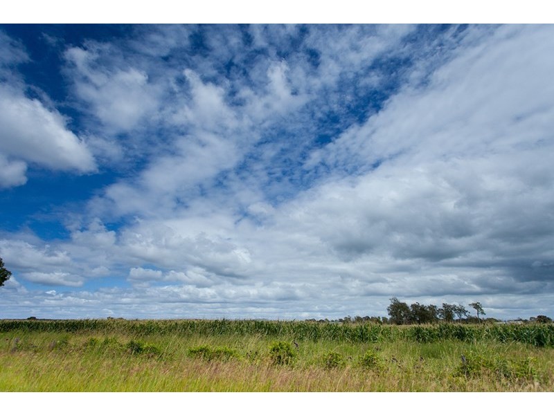 357 Manning Point Road, Oxley Island NSW 2430