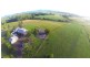 1027 Cedar Party Road, Wingham NSW 2429