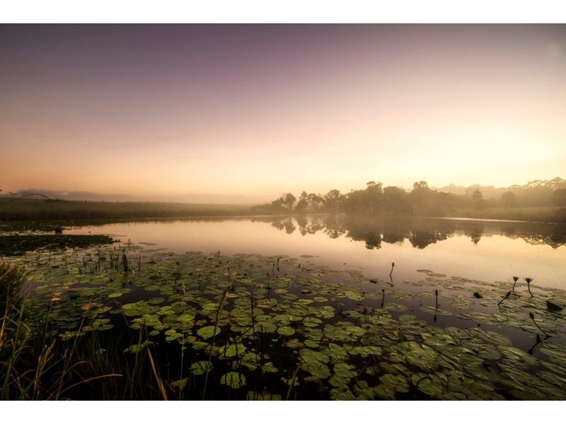 1027 Cedar Party Road, Wingham NSW 2429