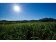 1027 Cedar Party Road, Wingham NSW 2429