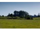 1027 Cedar Party Road, Wingham NSW 2429
