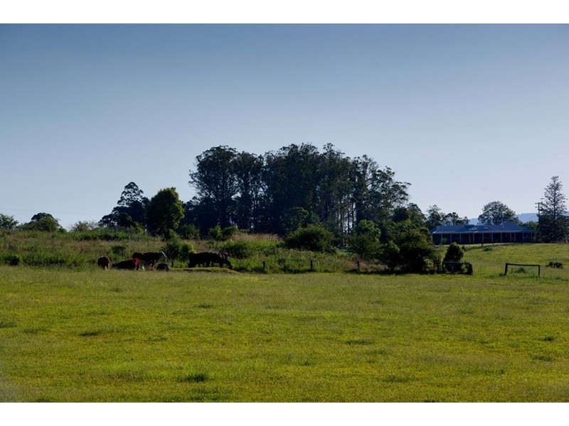 1027 Cedar Party Road, Wingham NSW 2429