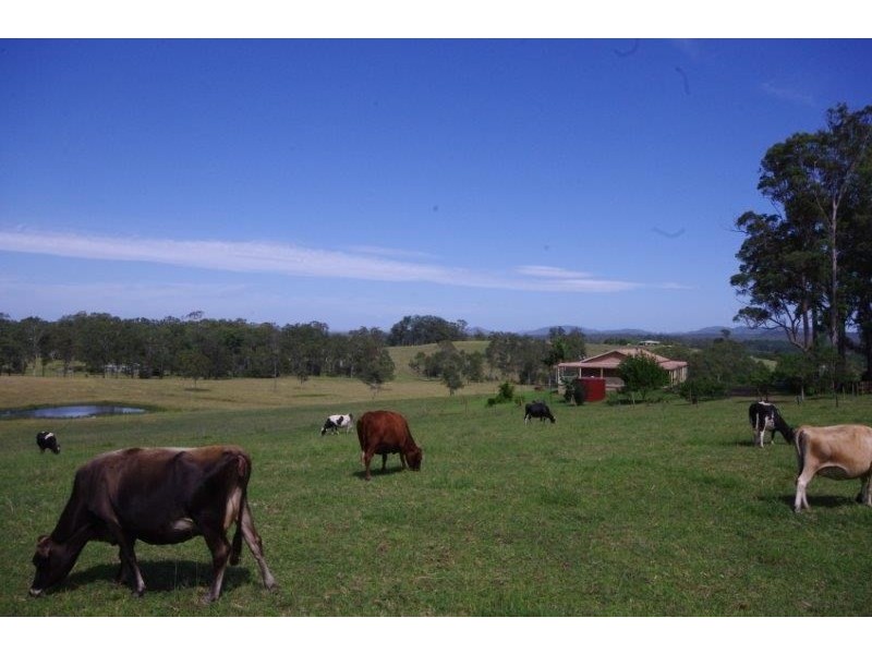 8 Hogans Road, Upper Lansdowne NSW 2430