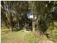 Wingham NSW 2429