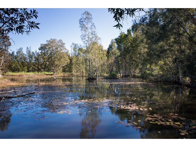 556 Follies Road, Taree NSW 2430