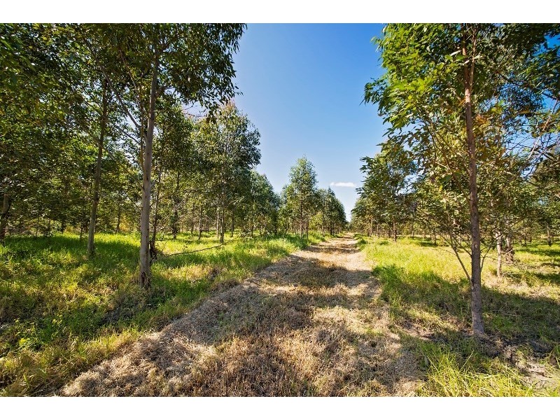 1292 Wang Wauk Road, Nabiac NSW 2312