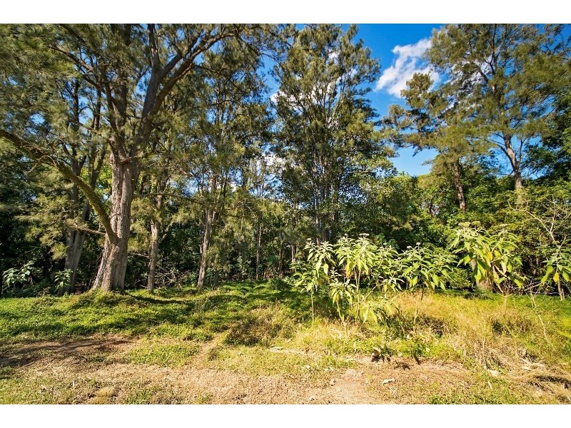 1292 Wang Wauk Road, Nabiac NSW 2312