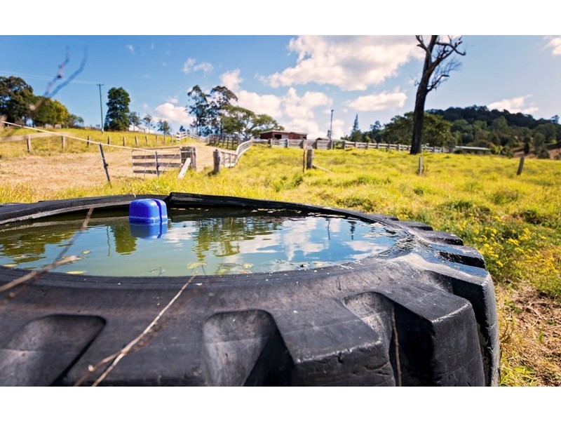 1292 Wang Wauk Road, Nabiac NSW 2312