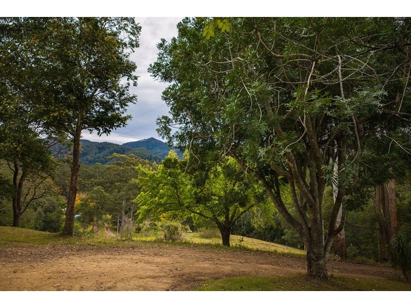 395 Mount Coxcomb Road, Upper Lansdowne NSW 2430