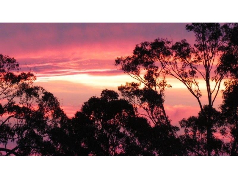 “Niaroo” 1197 Minimbah Road, Nabiac NSW 2312