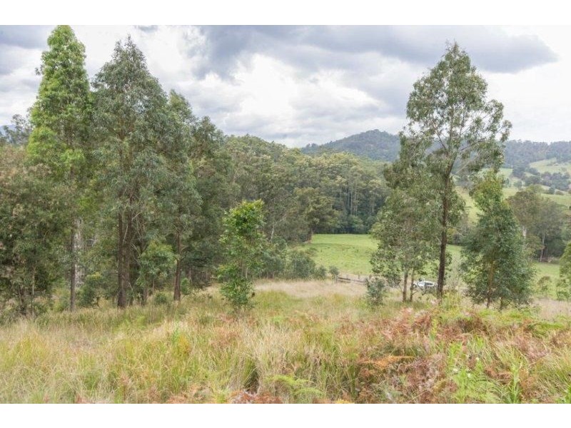 991 Mooral Creek Road, Strathcedar NSW 2429