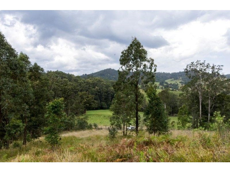 991 Mooral Creek Road, Strathcedar NSW 2429