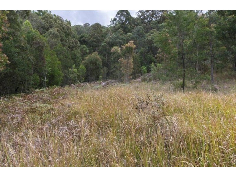 991 Mooral Creek Road, Strathcedar NSW 2429