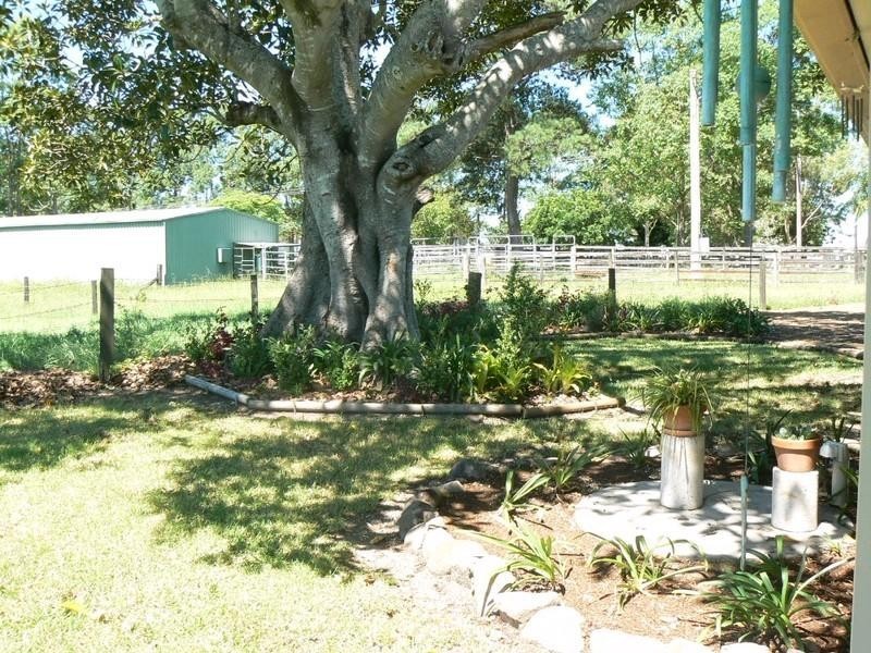 Taree NSW 2430