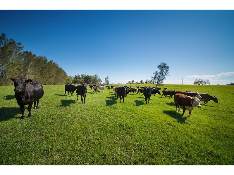 496 and 514 Kundle Kundle Road, Kundle Kundle NSW 2430