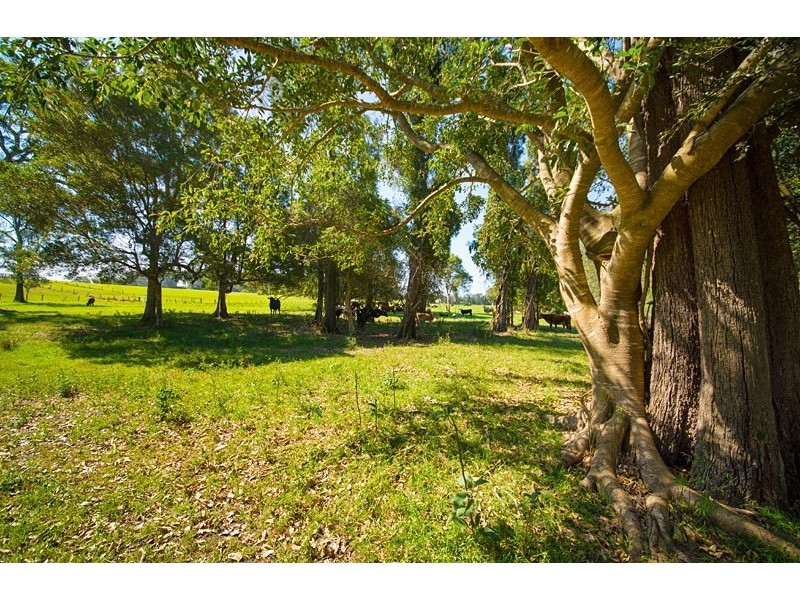 496 and 514 Kundle Kundle Road, Kundle Kundle NSW 2430