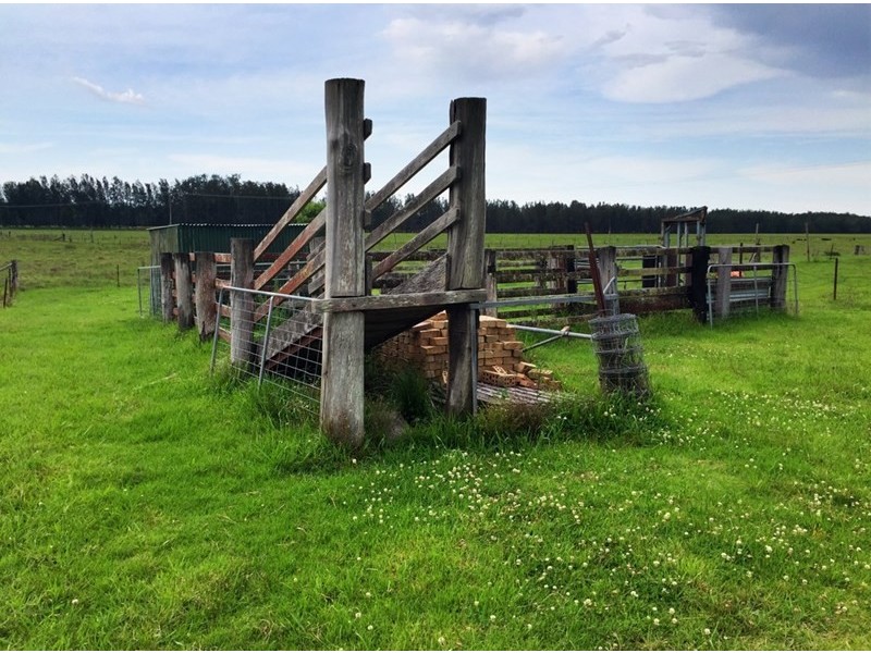 18 Clovernook Drive, Cundletown NSW 2430