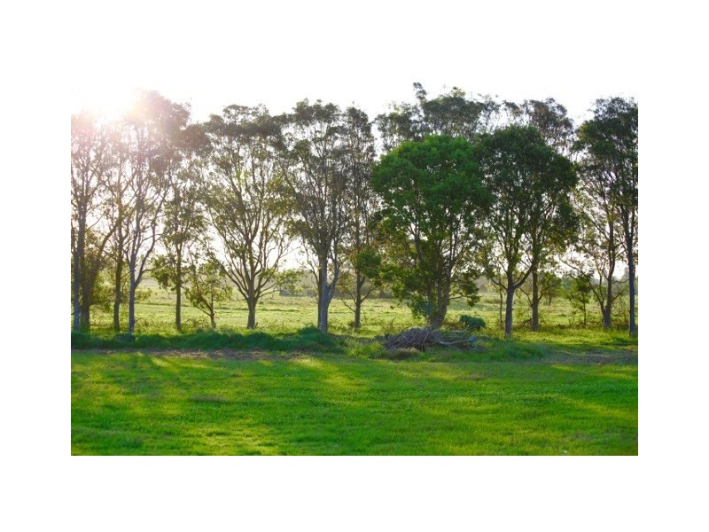 89 Newby Road, Pampoolah NSW 2430